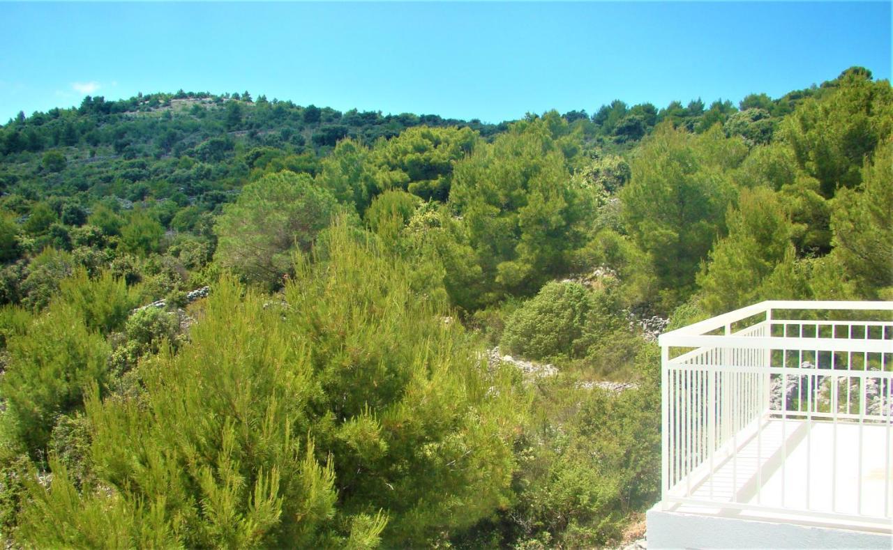 Villa Sena Ražanj Exteriér fotografie
